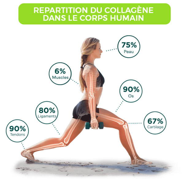 collagène-nc-nouméa-nutrition-millénium